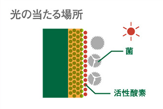塗装表面に活性酸素が発生、抗菌金属とともに菌を減少させます。