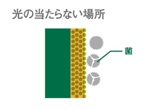 塗装表面に活性酸素が発生、抗菌金属とともに菌を減少させます。