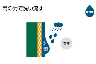 親水性　雨で洗い流す